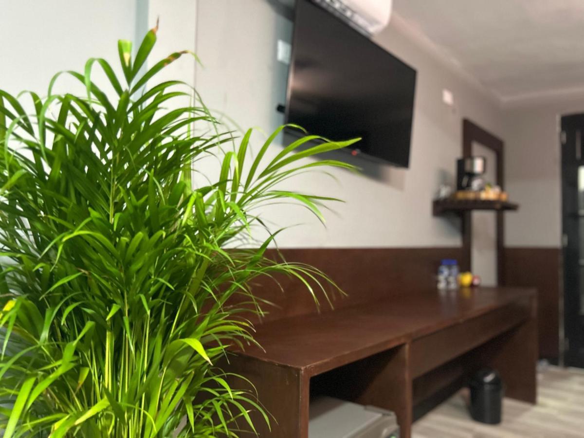 Huasteca Em Suites 巴耶斯城 外观 照片